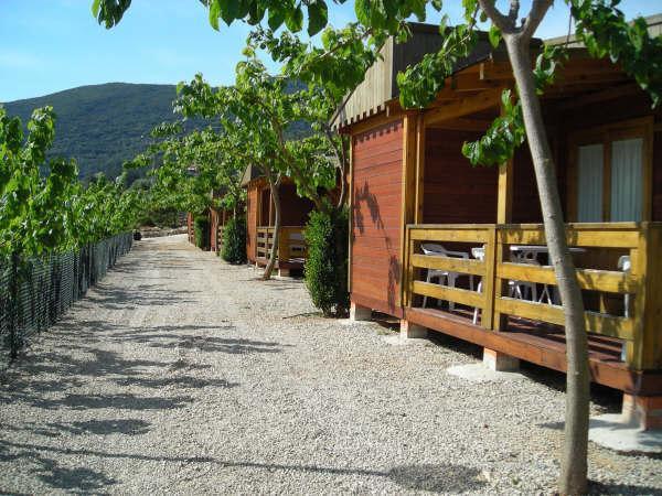 Cabanas Y Bungalows La Falaguera Bárig 外观 照片